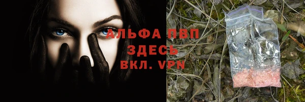 крисы Зерноград