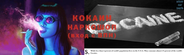 крисы Зерноград