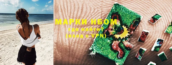 крисы Зерноград